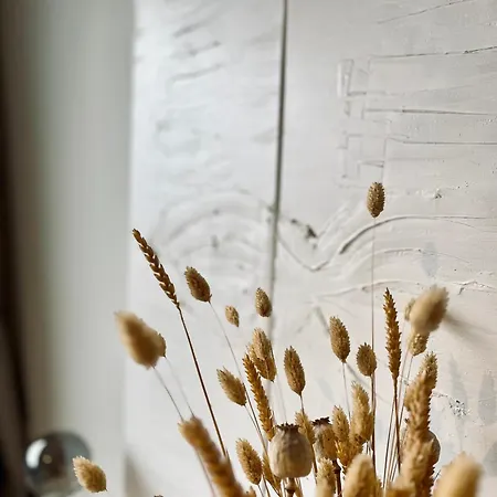 Dune Sur Apartment