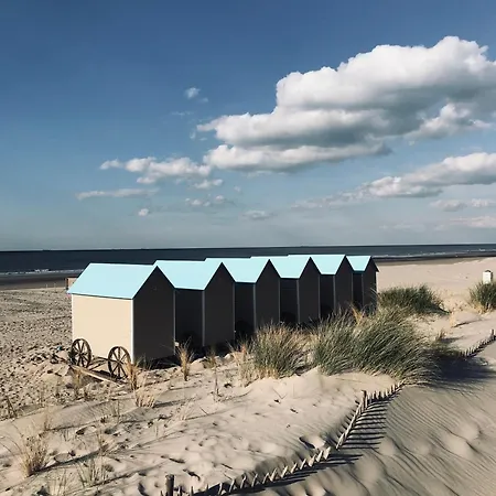 Dune Sur Daire